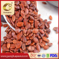 Factory Price Popular Snacks Watermelon Seeds